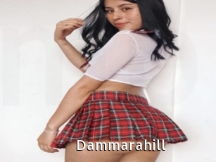 Dammarahill