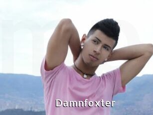 Damnfoxter