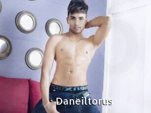 Daneil_torus