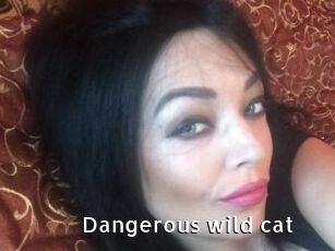 Dangerous_wild_cat