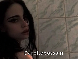 Darellebossom