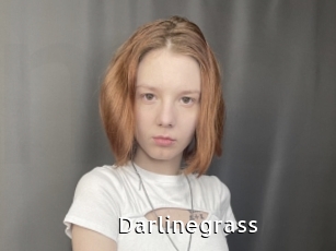 Darlinegrass