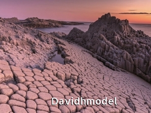 Davidhmodel