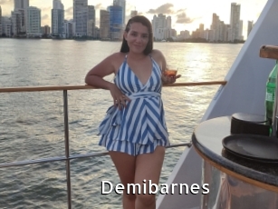 Demibarnes