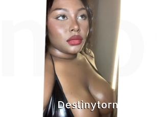 destinytorn My Porno Stash