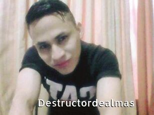 Destructordealmas