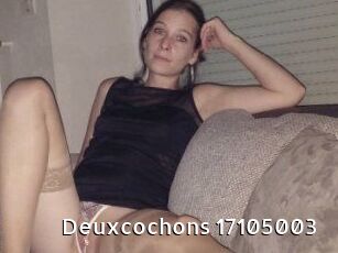 Deuxcochons