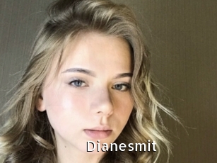 Dianesmit