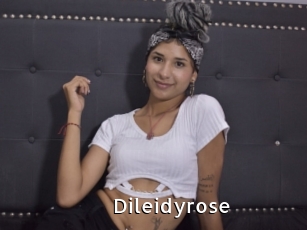 Dileidyrose