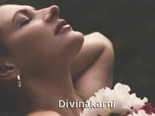 Divinakarni