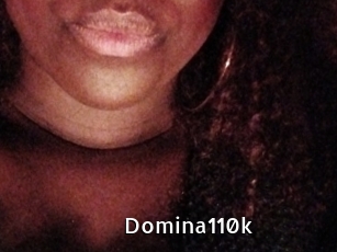 Domina110k