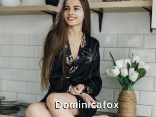 Dominicafox