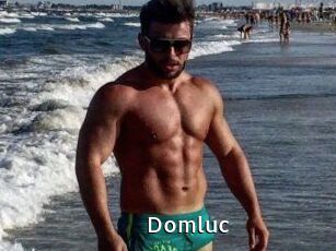 Domluc
