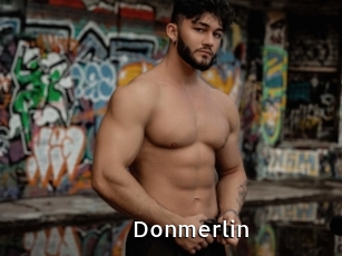 Donmerlin