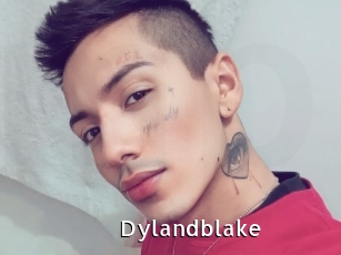 Dylandblake