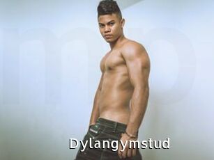 Dylangymstud