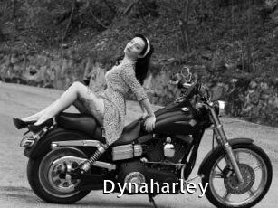 Dynaharley