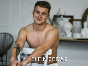 ELFIN_CEDAR