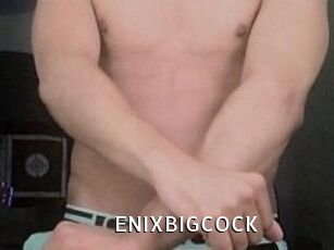 ENIXBIGCOCK