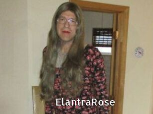 Elantra_Rose
