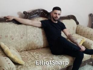 ElliotSharp My Porno Stash