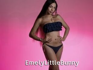 EmelyLittleBunny