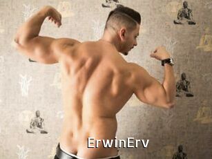 ErwinErv