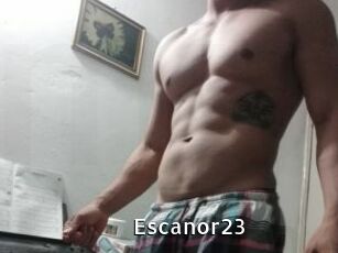 Escanor23