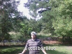 Escorbar_Blue