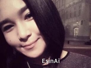 EsinAi