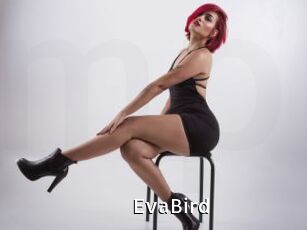EvaBird