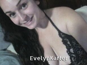 Evelyn_Karter My Porno Stash