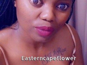 Easterncapeflower