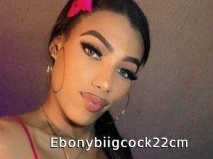 Ebonybiigcock22cm