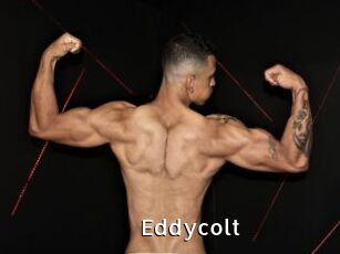 Eddycolt