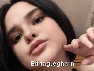 Editagleghorn