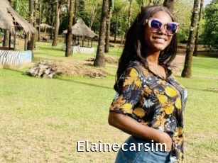 Elainecarsim