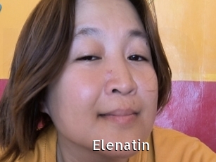 Elenatin