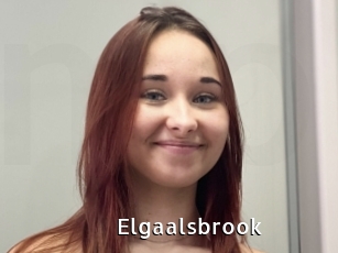 Elgaalsbrook