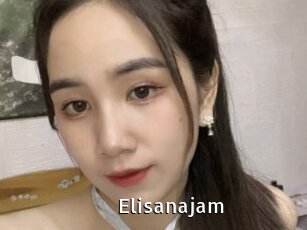 Elisanajam