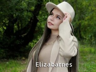 Elizabarnes