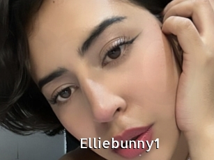 Elliebunny1