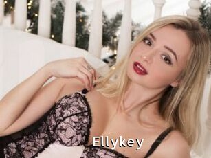 Ellykey