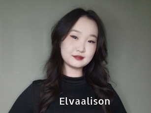 Elvaalison