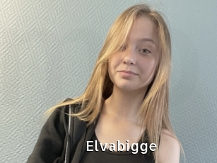 Elvabigge