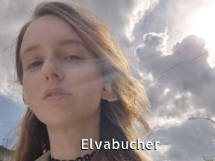 Elvabucher
