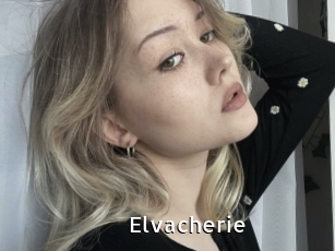 Elvacherie