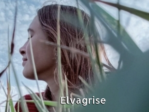 Elvagrise