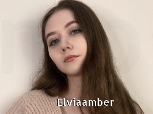 Elviaamber
