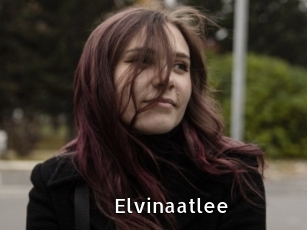 Elvinaatlee